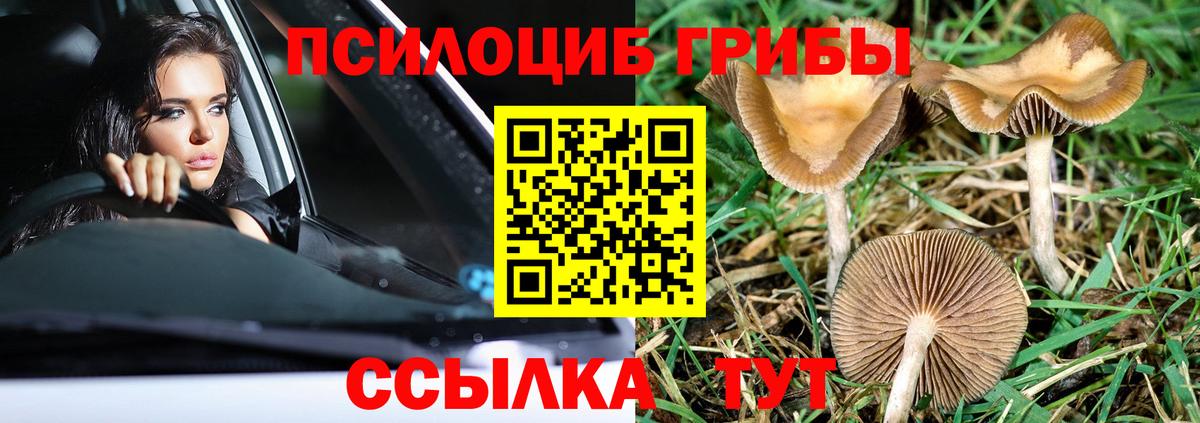 Павлово  Галлюциногенные грибы ЛСД  Вход с VPN 